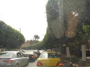 oran 132